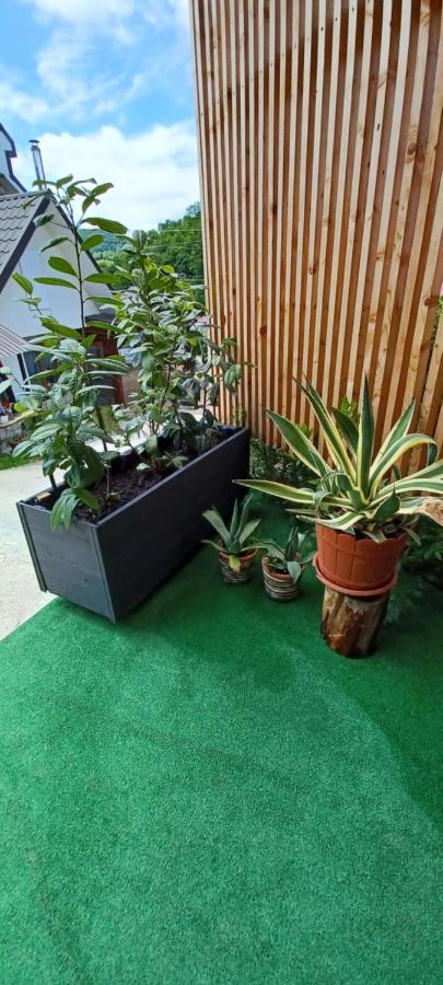 Casa Cu Muri Тыргу-Окна Экстерьер фото